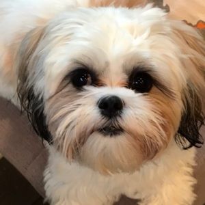 Meet your Posher, Catherine